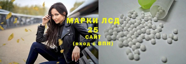 кристаллы Гусь-Хрустальный