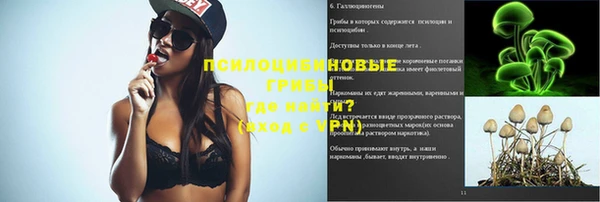 прущая мука Гусев
