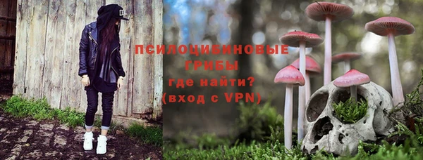 кристаллы Гусь-Хрустальный